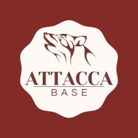 Attacca - Seventeen - RPG (@baseattacca) 's Twitter Profile