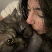 Rudy (@uilix_8) Twitter profile photo