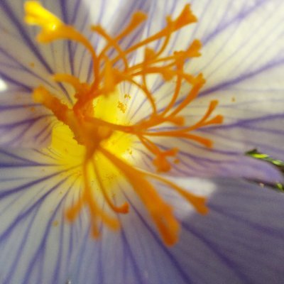 A less tribal politics | Poems: @PoetryMagazine @PoetrySociety @Mslexia @IceFloeP | Books: @ShearsmanBooks @PoetryBusiness @VervePoetryPres @NineArchesPress
