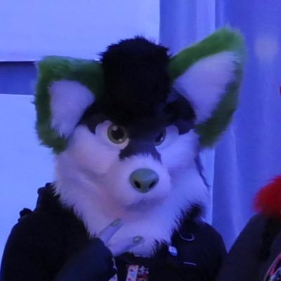 FintonFolf's profile picture. They/Them | 22 | @RWUFCLUB DevOps Lead | IT Consultant 💻 | VR Veteran | DJ 💿 | LGBTQ+ Rights ✊ | ENG & 日本語 | ❤️ @_SilvaBlu_