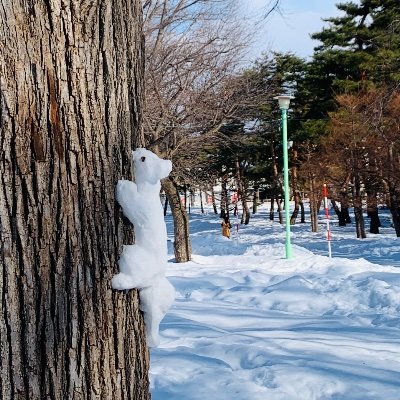 18↑/腐/hq,ディグイット他,趣味垢/実は平日多忙
イタチヤマの深い沼にハマってます。ディグイットという沼にも片足を突っ込んでいます。助けて。