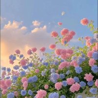 mytinywhisper (@mytinywhisper) 's Twitter Profile