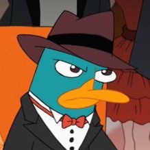 platty36 🐾🧳 Profile