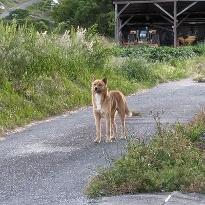 dw3ws14nb812296's profile picture. 