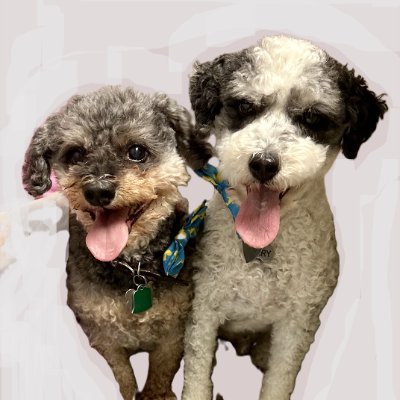 kayostweet's profile picture. 