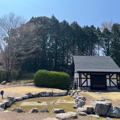 LnP3pm's profile picture. 田舎のコウモリ