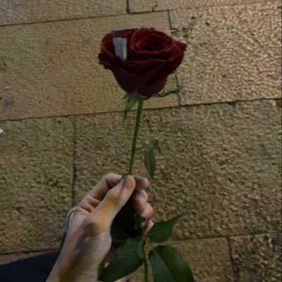 anupxdz's profile picture. Crypto trader 📈 | Chasing pumps 🚀 | Avoiding dumps 😅