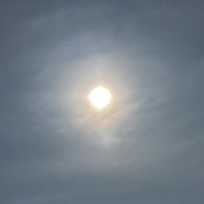 51Kenken51's profile picture. しょうもない理由で終わらせて新しくここに来た