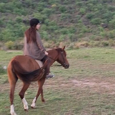 anamzeb's profile picture. 