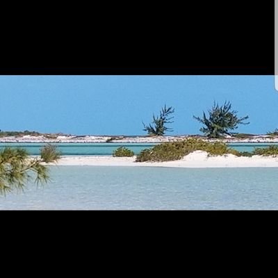 DebraMcmur68000's profile picture. 