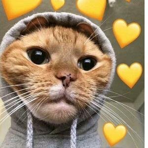 🔴💊(Ø,G)π² | ETHGas ⛽