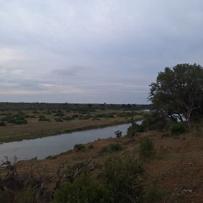 bill_stoner1910's profile picture. English professor at U of Mizz.
Enemy of one Mr. Lomax