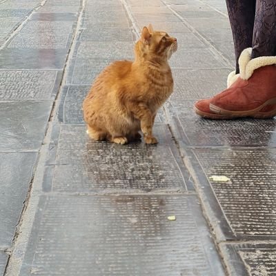 NnthiThiy's profile picture. +ที่พร้อมบวกทุกคนทุกเรื่อง🤣🤣🤣 u=u