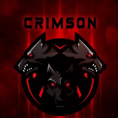 New Esports Organisation who compete in COD, NSE (UK University esports) at the moment.