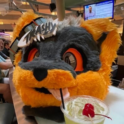 RacTrashy's profile picture. Furry raccoon gamer boi X3 age 31
