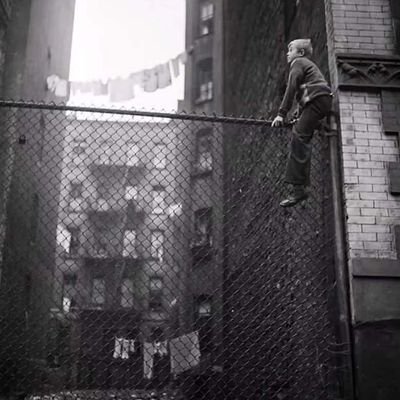 http83476320's profile picture. 