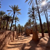 عبدالله الأحمدي (@aaahmadi1a) 's Twitter Profile