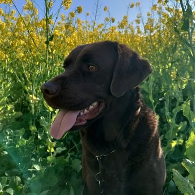 thys_peter's profile picture. 