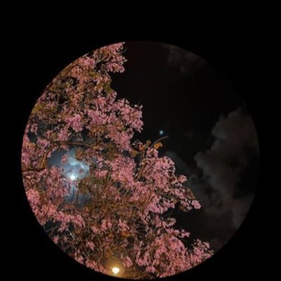 magui49548's profile picture. Je suis sénégalaise🇸🇳 plus précisément halpulard😍💥Mouslim🙏🕋 l'islame es ma fierté ❤️