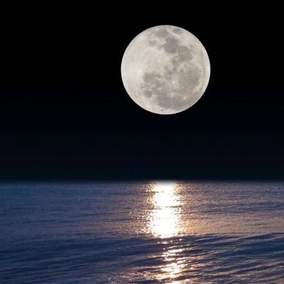 haha335596's profile picture. اذا اخذ الله منك مالا تتوقع ضياعه فسوف يعطيك مالا تتوقع تملكه. 💚🇸🇦💚