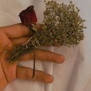 Shahmir_ali97's profile picture. Proud to be Muslim ❤️
Proud to be Pakistani 🇵🇰
Graphic Designer 💖💯
Fitness freaky 💪🥵
K-Town 🏡🏠
Birthday 6- Jan 💞🎂