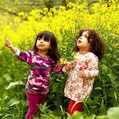 realfc2359's profile picture. nexchain_ai