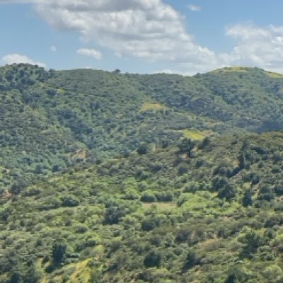 lxa6155511's profile picture. 