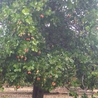 ataradoje (@ataradoje07) 's Twitter Profile Photo