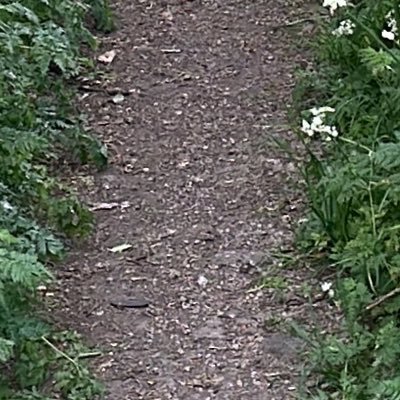 JobinRbs's profile picture. 