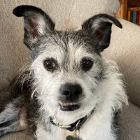 Claudia Morgan (@claudia_morgan5) 's Twitter Profile Photo