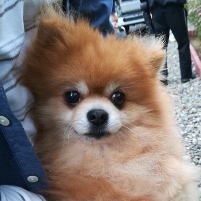 ku@様ご相談ページ ホームページ お問い合わせ・ご相談（無料）