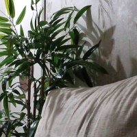 ام فهد (@mfhd898220) Twitter profile photo