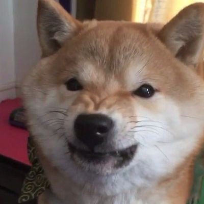 gaesaekki_c's profile picture. 