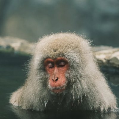 onsennototonou's profile picture. 温泉のととのう