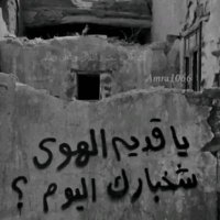 +++ذمار جاد 22سنه الجاد يدخل خاص 💋 (@alhlww28256) Twitter profile photo