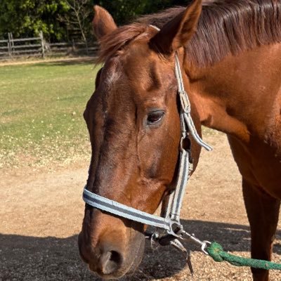 umapaypay's profile picture. 垢移行してます