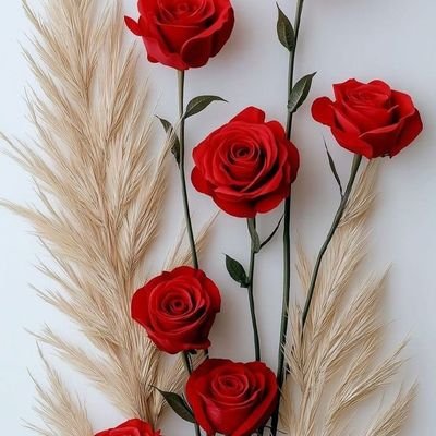 jnmmd93555216's profile picture. 