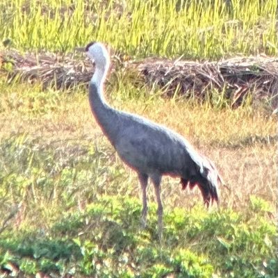 アウトドアと雑な料理とFEを楽しむ人。関東圏に引越してきました。赤岳、妙高、戸隠、グリンデルワルト、リバーサップ、フィンラケ、リーナン。