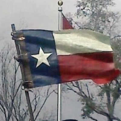 KatKenn48 ❤️ 🇨🇱🇺🇸 a recent quote: Lib Elites are “greed masquerading behind a façade of lofty idealism”