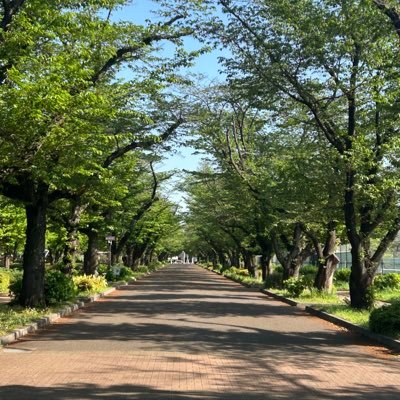 Bouno_Bouno_'s profile picture. Tesla model3 21/09 ➡︎ modelY 25/09 / TSLA株 / 旅行 / グルメ / クラシック音楽
