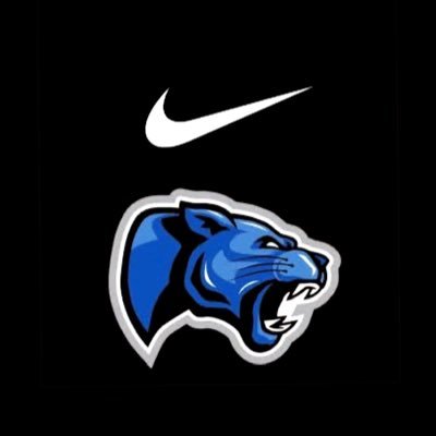 Denmark Tech Men's Basketball Profile