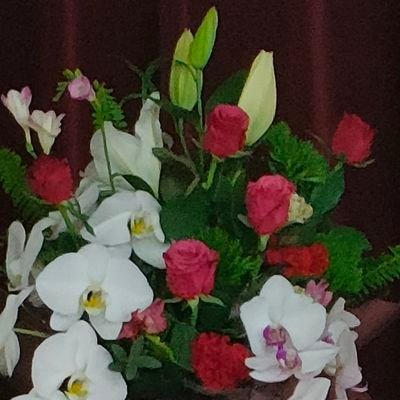 tenko073's profile picture. お花大好き　D.Mは失礼致します。