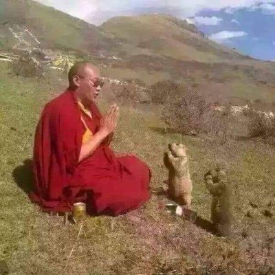 heartztea's profile picture. 