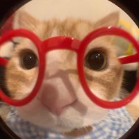 nunenune (@nnpt__) 's Twitter Profile Photo nunenune (@nnpt__) 's Twitter Profile Photo