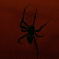 πΆπππππππππ π₯ (@emo_tionlos) 's Twitter Profile