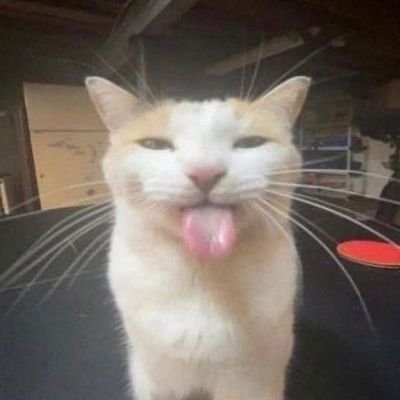 Peterさんのプロフィール画像