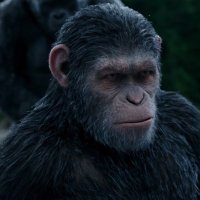 Caesar has returned (@caesars_callz) 's Twitter Profile