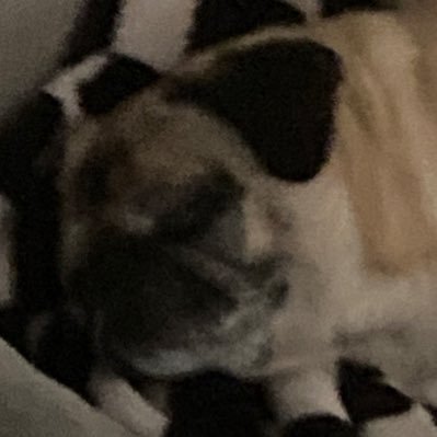 Braxton7799's profile picture. hello I’m Braxton