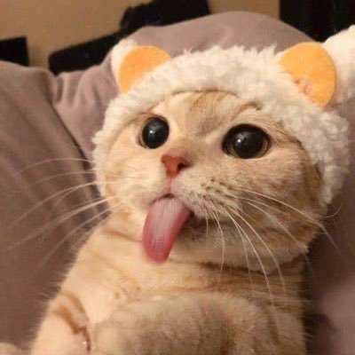 FireFlyze_'s profile picture. 🇸🇪 No clue what I’m doing. Play too much RL