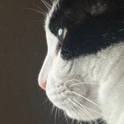 eunjin70620's profile picture. 